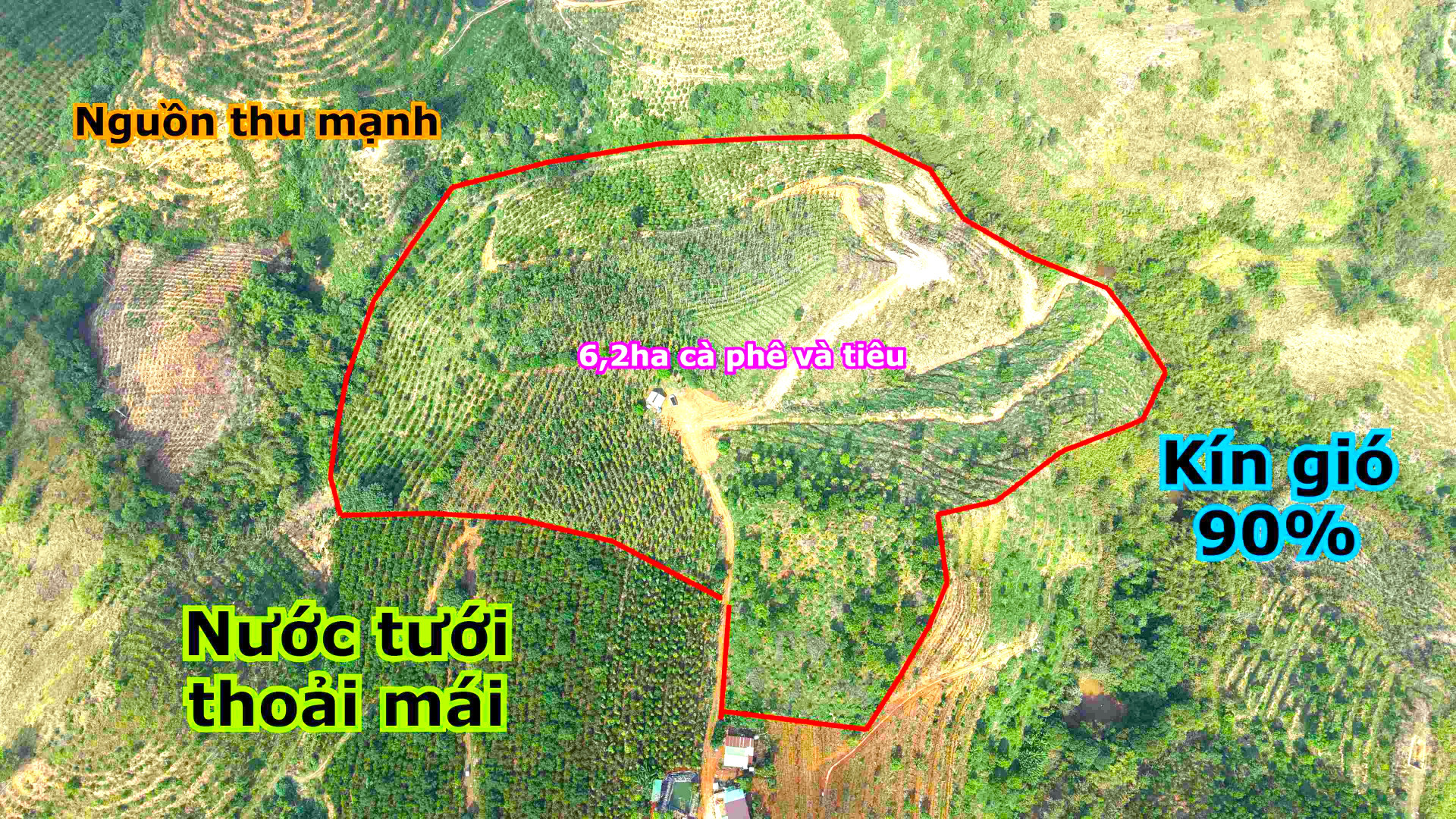 6,2ha đất rẫy giá rẻ trồng cà phê và tiêu sầu riêng