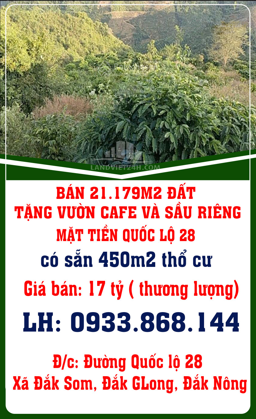 BÁN 21.179M2 ĐẤT TẶNG VƯỜN CAFE VÀ SẦU RIÊNG MẶT TIỀN QUỐC LỘ 28