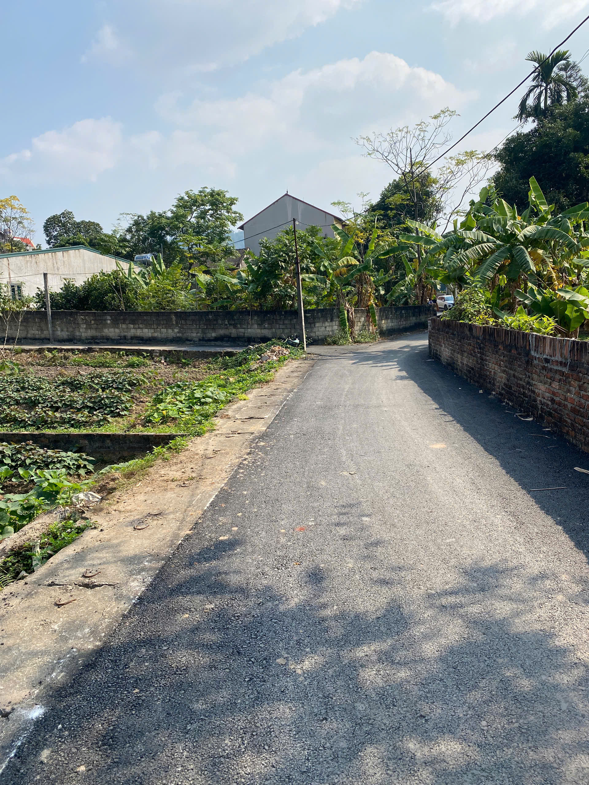 🔥BÁN GẤP LÔ ĐẤT ĐẸP KIM LONG-SÁT KCN TAM DƯƠNG 107,7m MT5,9m gần nút giao Cao Tốc 1,4x TỶ 0988296228