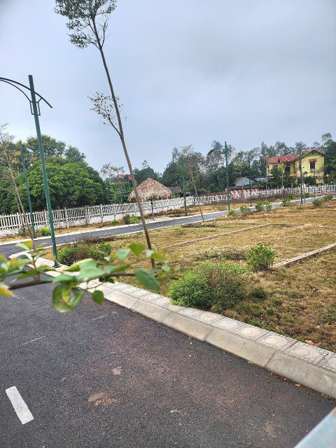 Bán đất 116m² ngang 4,3m tại Xã Minh Phú Huyện Sóc Sơn