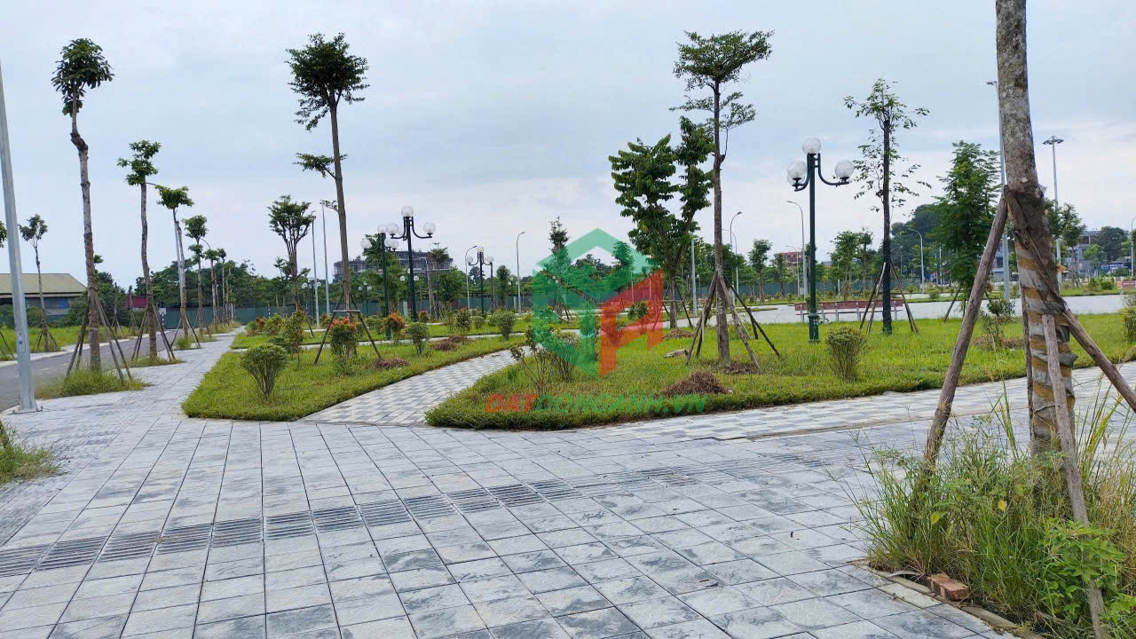 ✅ Bán đất đấu giá X1 Nguyên Khê - 80m - View công viên - Đường rộng 20m