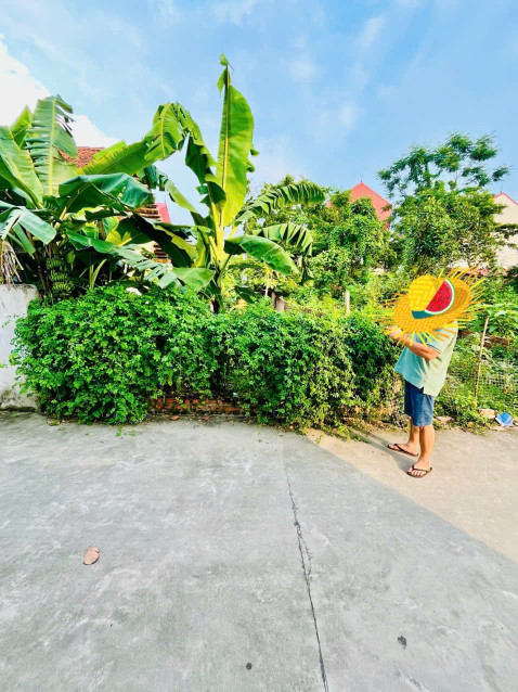 Bán đất 71,5m² ngang 4,5m giá 2.5 tỷ tại Xã Quang Tiến Huyện Sóc Sơn