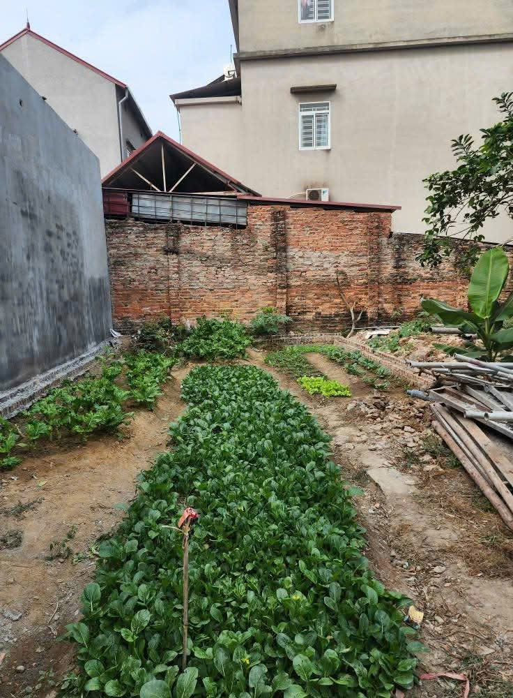 Bán đất 62,3m² ngang 4m giá 1.75 tỷ tại Xã Tiên Dược Huyện Sóc Sơn