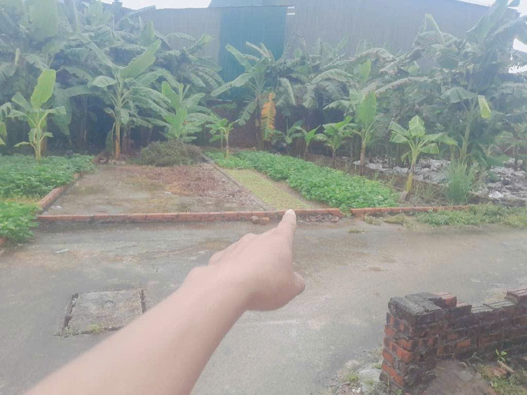 Bán đất 80m² ngang 6m giá 3.1 tỷ tại Xã Tiên Dược Huyện Sóc Sơn