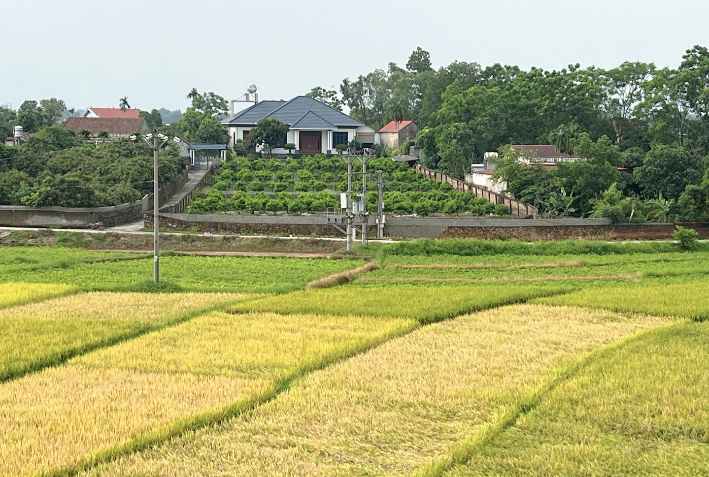 Bán đất 2000m² ngang 27/43/55m giá 7.5 tỷ tại Xã Đại Lâm Huyện Lạng Giang