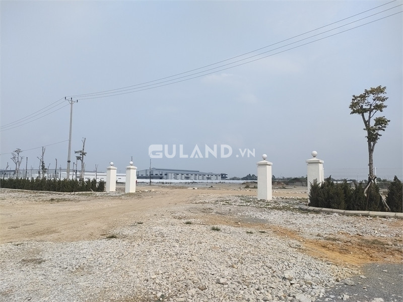Bán 4ha đất kho nhà xưởng 50 năm tại Huyện Ninh Giang, Tỉnh Hải Dương