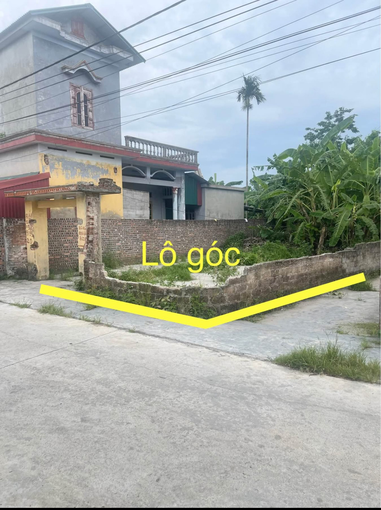 Lô Góc Đẹp Thôn Đồng Bình – Dân Chủ, Tứ Kỳ | Gần QL37 – Giá Cực Mềm Chỉ 1.4 Tỷ!