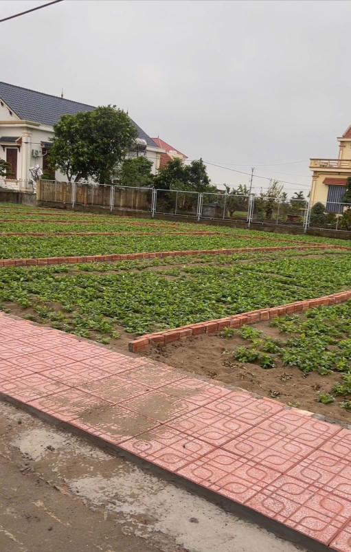 🔥 BÁN ĐẤT THỊ TRẤN QUẤT LÂM 91M² 🔥

📌 CƠ HỘI SỞ HỮU LÔ ĐẤT ĐẸP – VỊ TRÍ ĐẮC ĐỊA – ĐẦU TƯ SINH LỜI NHANH!