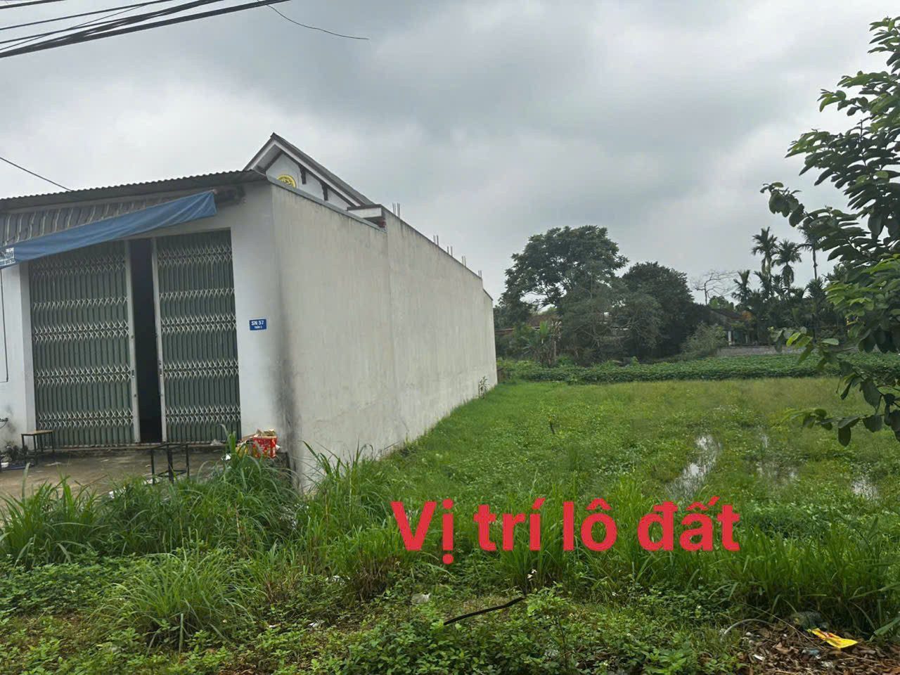 🌅Chính chủ gửi bán 1 lô bám trục chính từ qlo47 vào uỷ ban xã Thọ Cường-Triệu sơn nở
