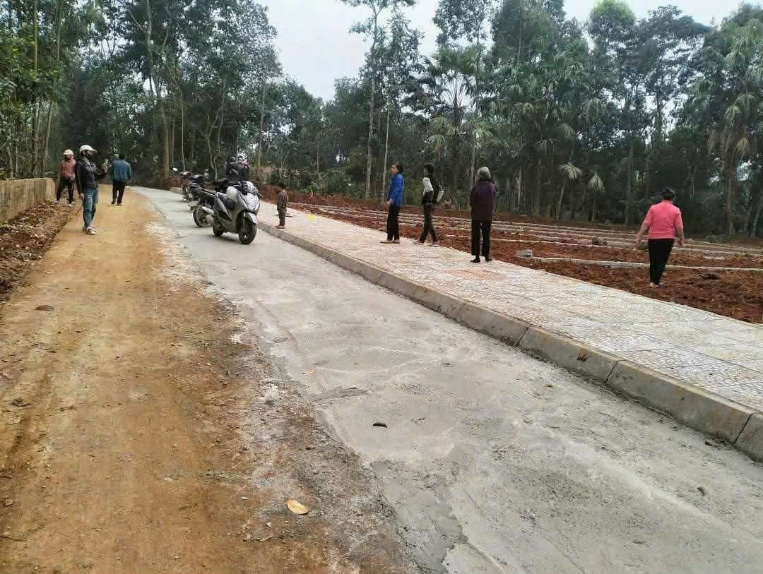 🔥 BÁN ĐẤT THỌ TÂN – TRIỆU SƠN | GIÁ CHỈ 2xx TRIỆU/LÔ