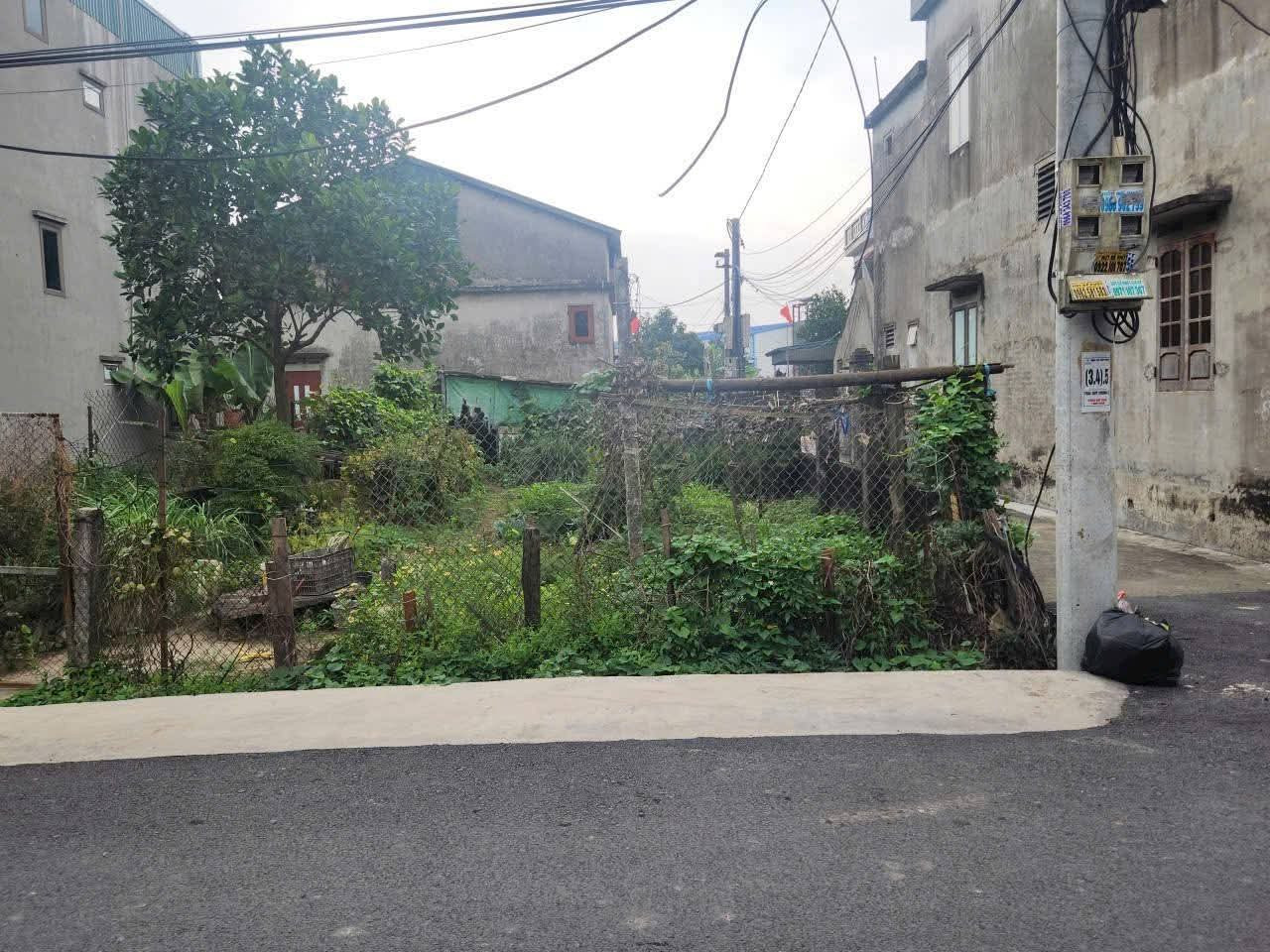 Đất nền trong khu công nghiệp Tân Trường
