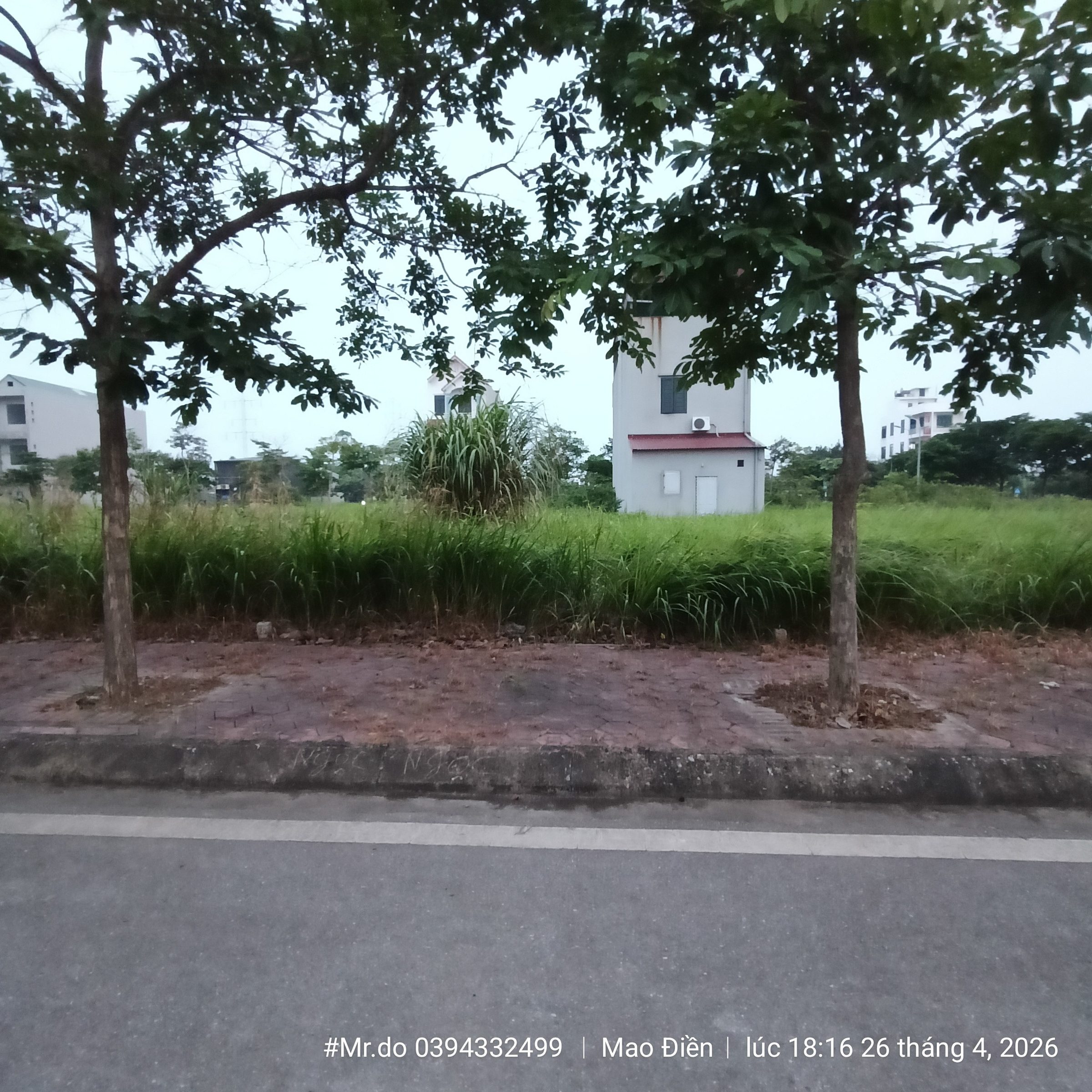 Start Tân Trường , ghẽ