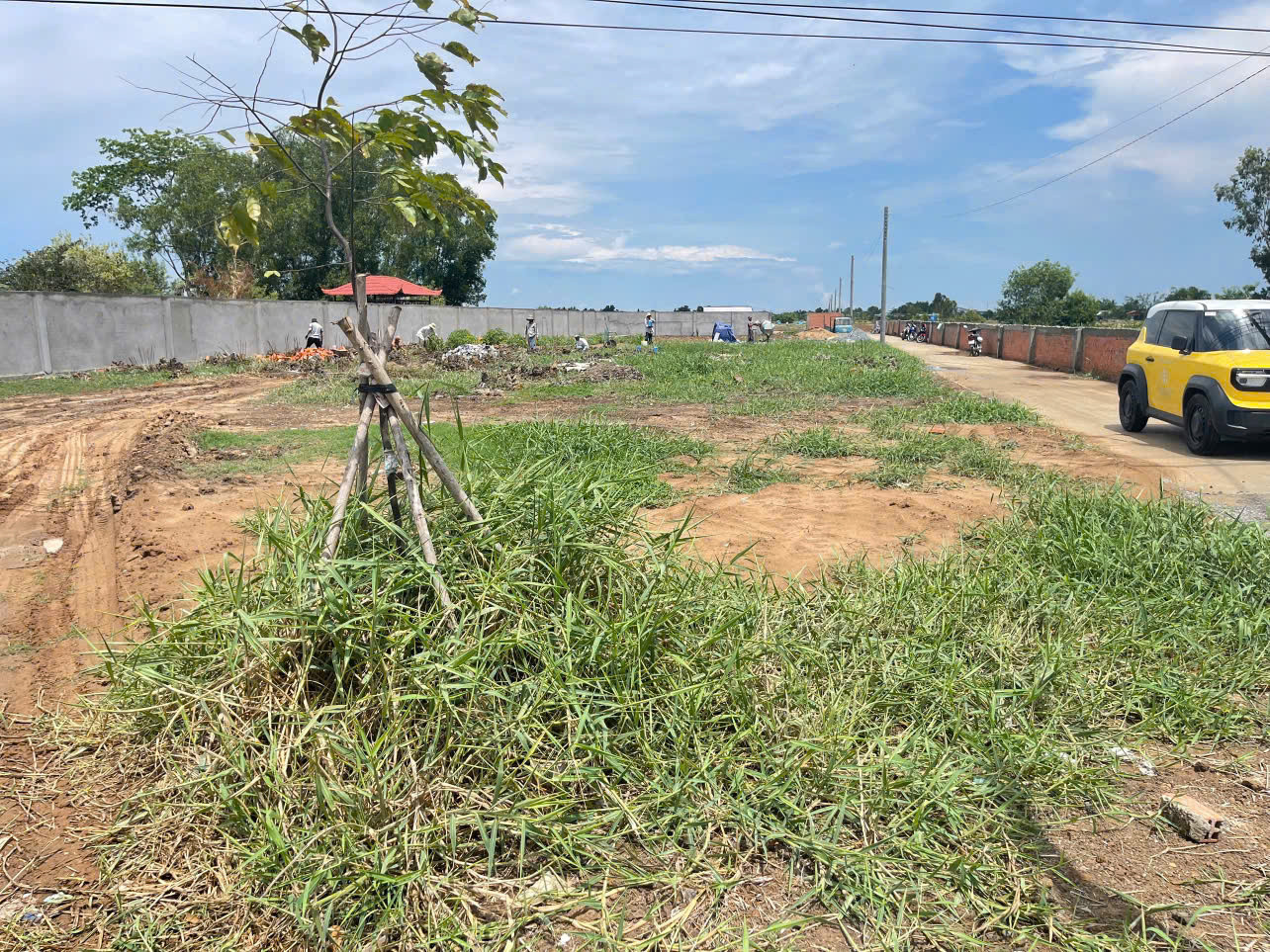 🏡 BÁN ĐẤT MT QL 50 – GÒ CÔNG, TIỀN GIANG, GIÁ 500TR, DT 100M2, SHR