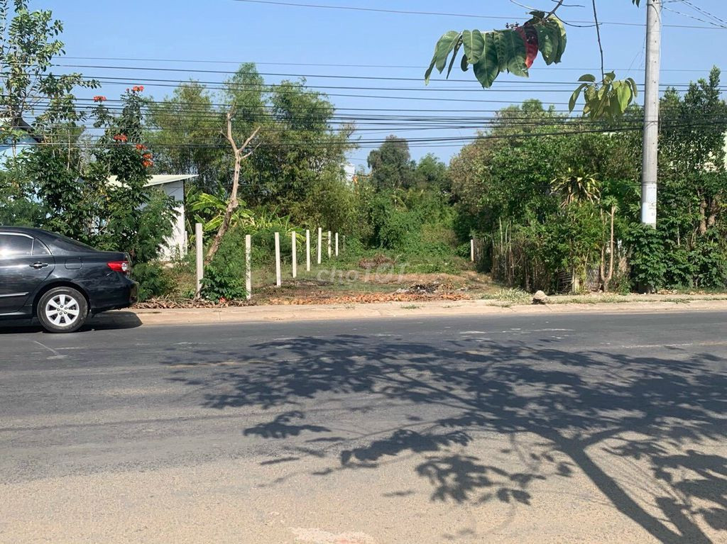 🚨 CHÍNH CHỦ BÁN LÔ ĐẤT SIÊU VỊ TRÍ – GẦN UBND XÃ BÌNH ĐÔNG – GIÁ CHỈ 600 TRIỆU 🚨