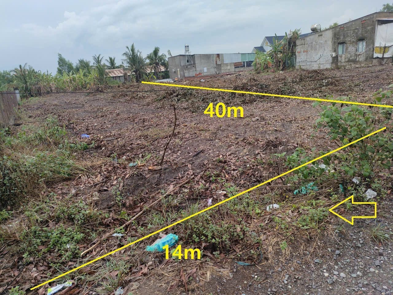604m mặt tiền 14 Phước Thái  sau lưng Trường Linama Long Thành giá cho nhà đầu tư