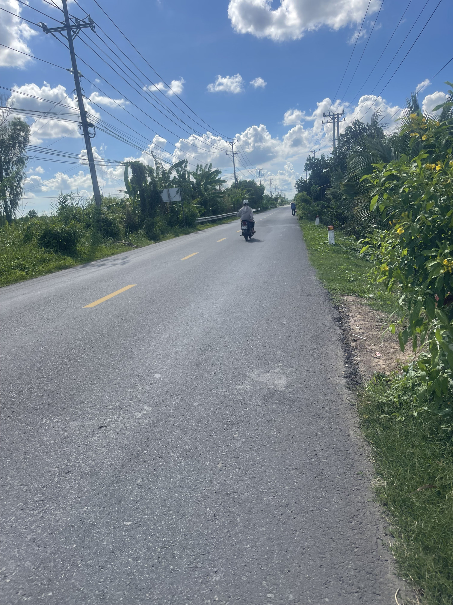 Bán Đất Mặt Tiền Ql54 Thuộc Xã Phong Hoà - Đồng Tháp