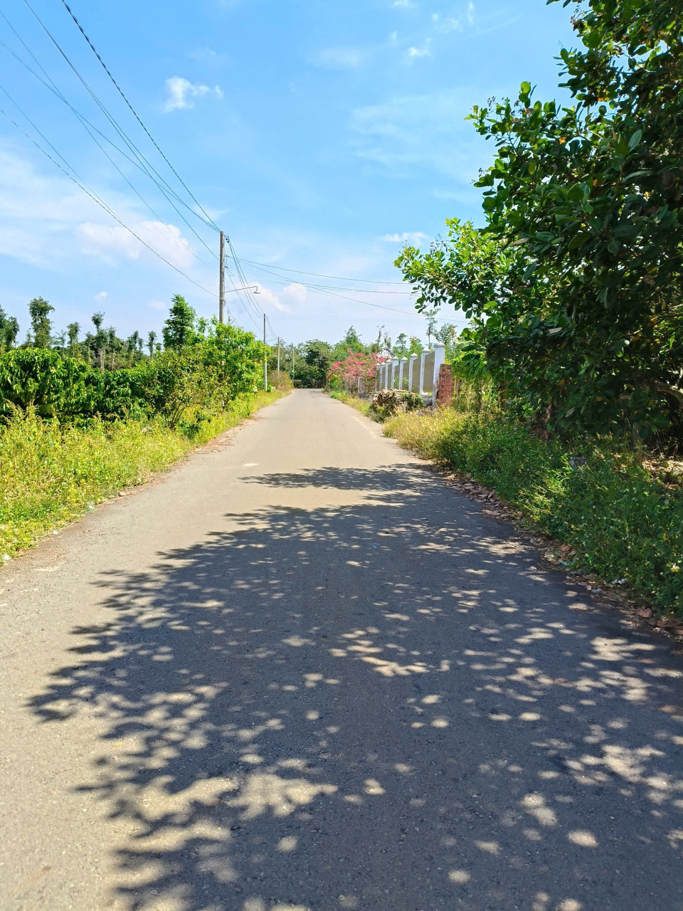 Bán đất Mt nhựa có thổ cư siu đẹp. Xã bàu chinh. Quốc lộ 56 : 25 x34