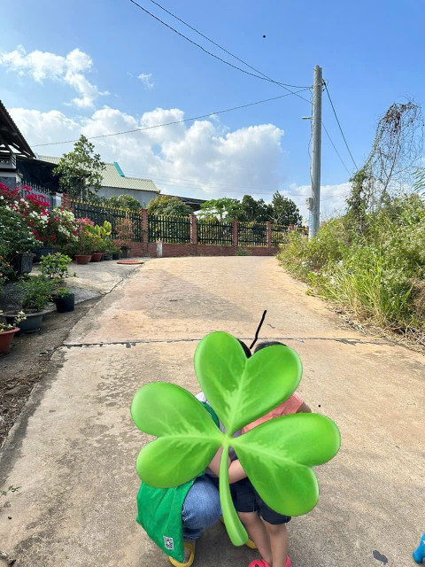Bán đất Full hồng rất đẹp giá tốt. Đường số 6 * Quốc lộ 56