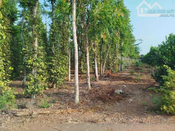 Bán Khoảng 4 sào 8 đất xã Quảng Thành, huyện Châu Đức, BRVT. Giá 80 tỷ