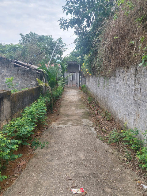 Cần bán