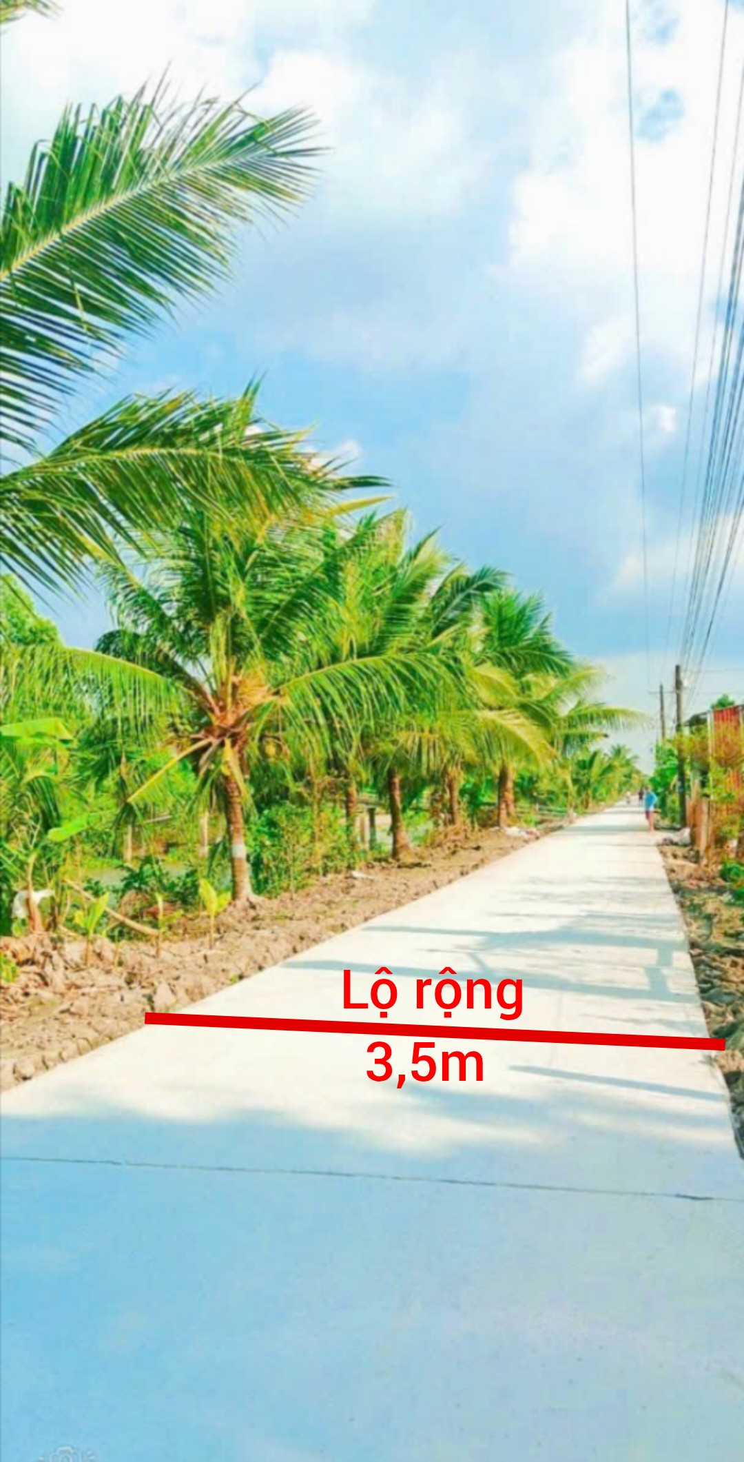 🔥 CẦN BÁN HƠN 1,6 CÔNG ĐẤT LÚA – GIÁ TỐT ĐẦU TƯ 🔥
📍 Vị trí: Khu phố Đông An, thị trấn Tân Hiệp, huyện Tân Hiệp, tỉnh Kiên Giang (cũ)
Cách chợ Sao Mai ~1,1km