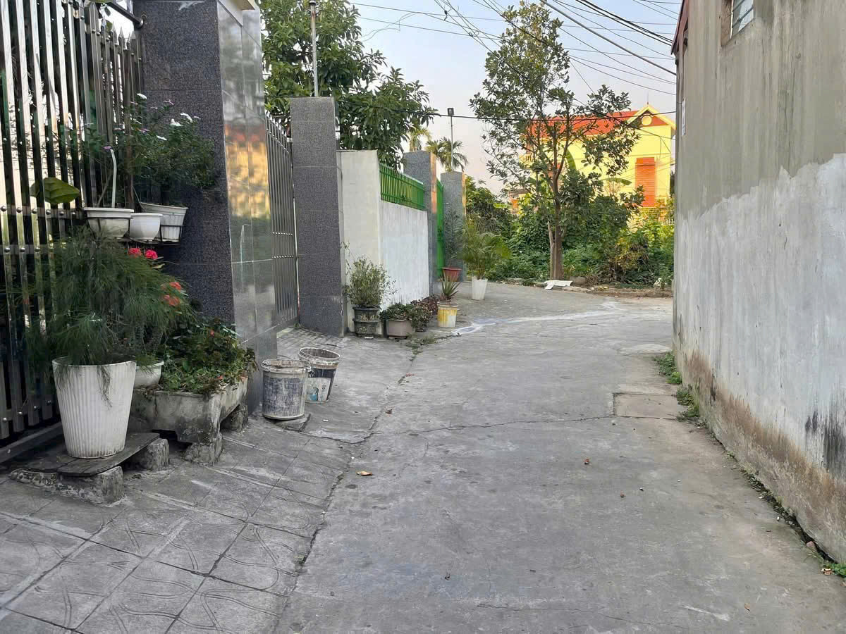🔥Bán lô đất Quỳnh Cư, Hùng Vương, Hồng Bàng, 81m2, giá chỉ 1,29 tỷ