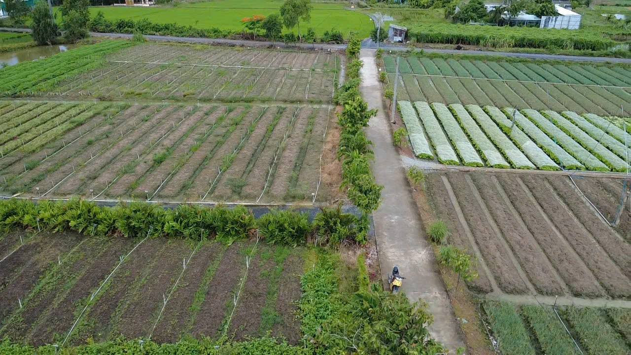 Bán đất 150m² ngang 5m giá 850 triệu Xã Rạch Kiến