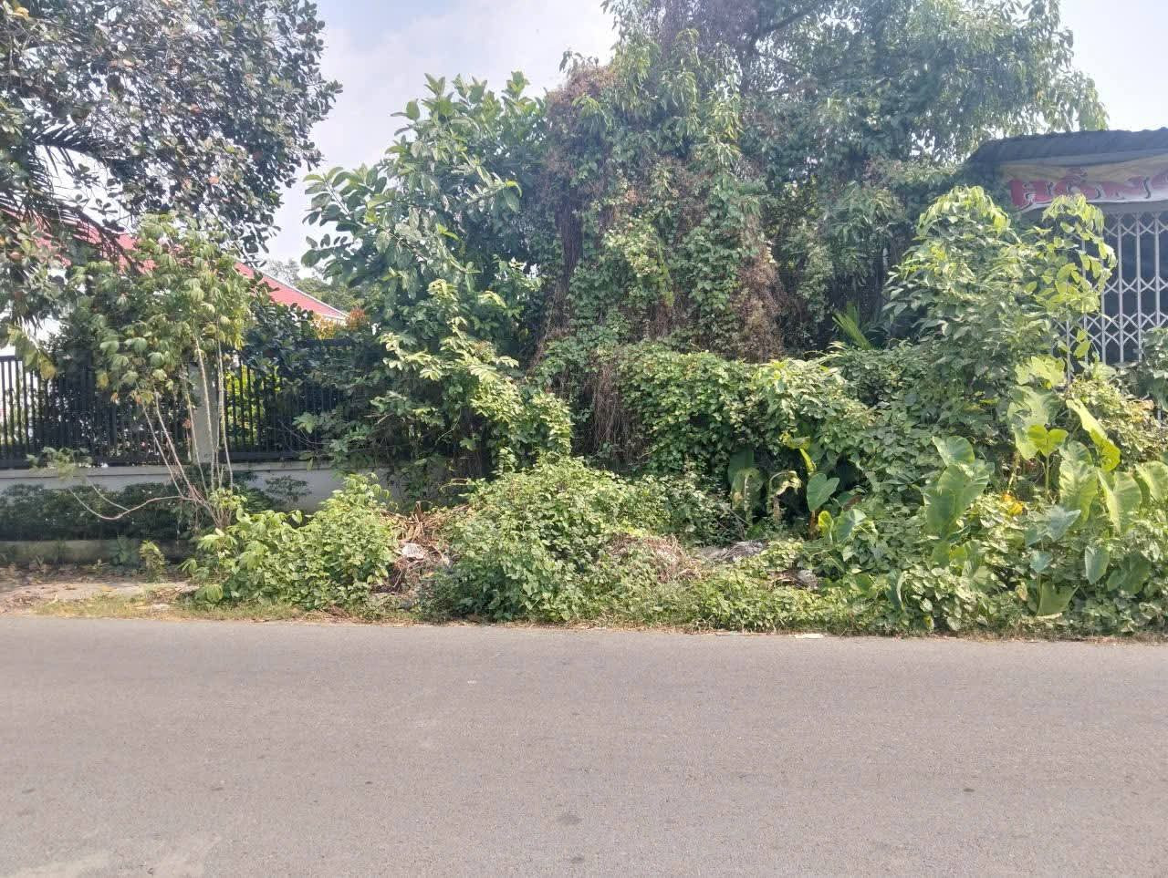 Bán đất mặt tiền nhựa xã Tân Thông Hội Củ Chi TPHCM, DT: 5x30m.