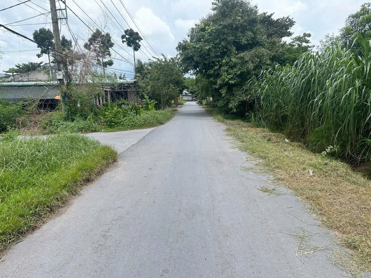 Bán Đất Thổ Cư Xã Tân Thạnh Đông (Cũ), Củ Chi - Đường Xe Tải - Cách Đường Nguyễn Kim Cương Chỉ 100m - Giá Chỉ 2,5 Tỷ