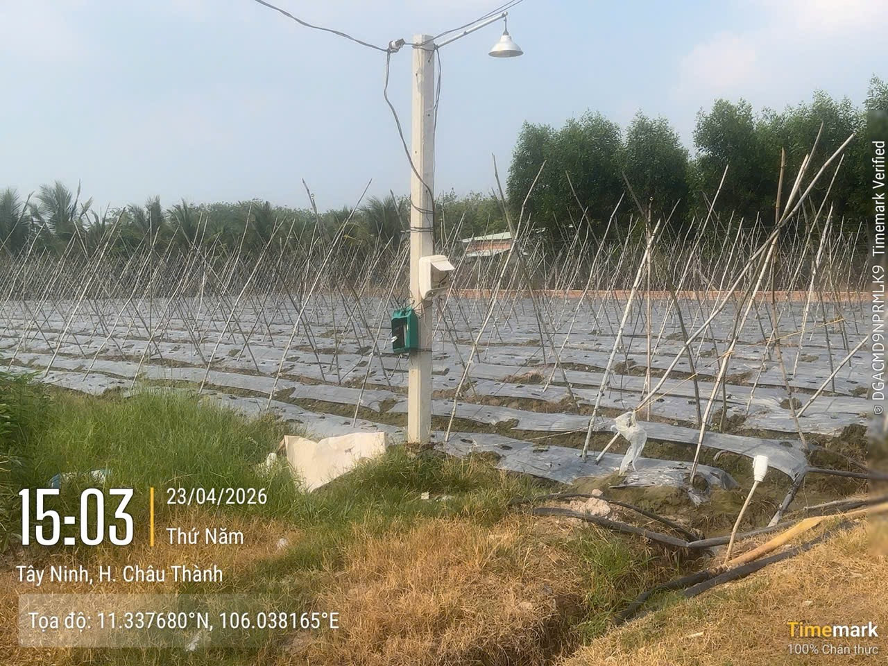 Bán đất 1290m² có sẵn 80m² thổ cư ngang 20m giá 680 triệu tại Đường số 15 Xã Châu Thành
