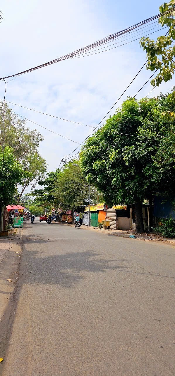 BÁN ĐẤT ĐƯỜNG SỐ 17, LINH TRUNG - 232m2 - GIÁ 15 TỶ TL
