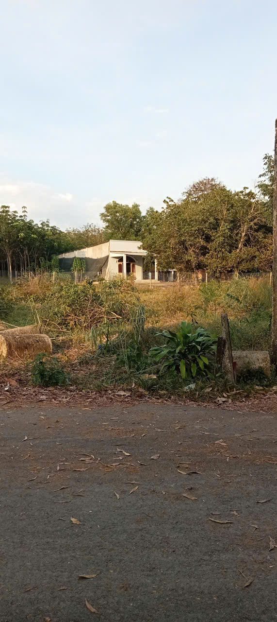 Bán đất 200m² có sẵn 100m² thổ cư ngang 5m giá 780 triệu tại đường số 35 Xã Trừ Văn Thố