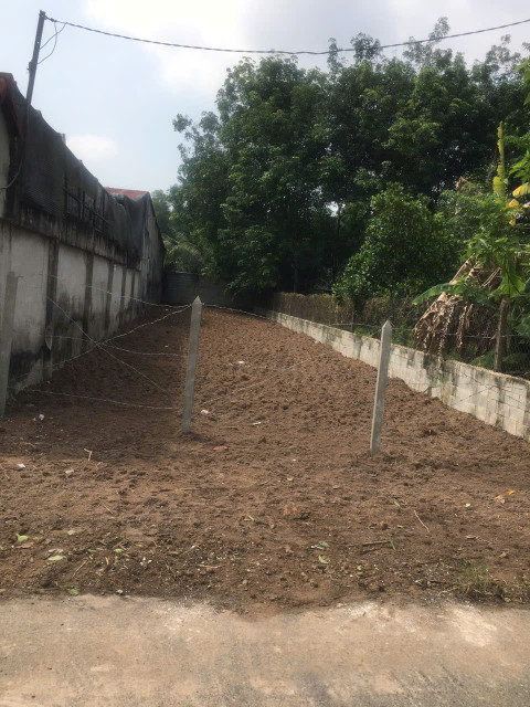 Bán đất mặt tiền đường 490, xã Phạm Văn Cội Củ Chi, 306m, 7.1x43m, khu đông dân cư, tiện xây nhà vườn