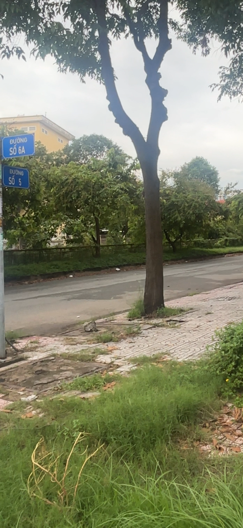 Bán Căn hộ chung cư 44m² giá 850 triệu tại Đường số 5 Xã Tân Vĩnh Lộc sổ hồng lâu dài