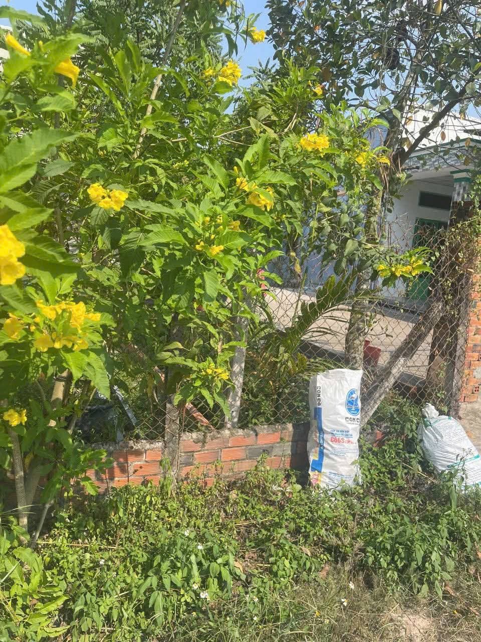 Hàng ngộp. Đất thổ cư đường ôtô xe Tải xã Trung Lập Hạ Củ Chi TPHCM, DT: 5x18m, giá ngộp thở: 880 triệu.