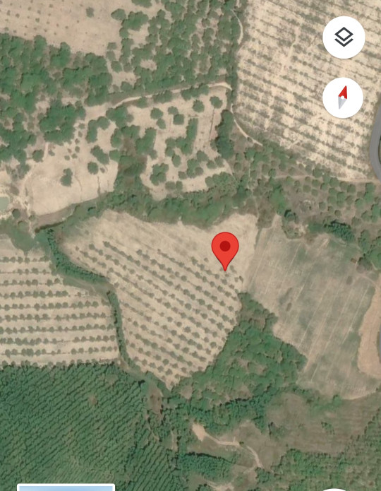 Bán  đất thổ cư 20000m² , giá 7 tỷ tại đường Số 6, Xã Tân Đức, Huyện Hàm Tân, Bình Thuận