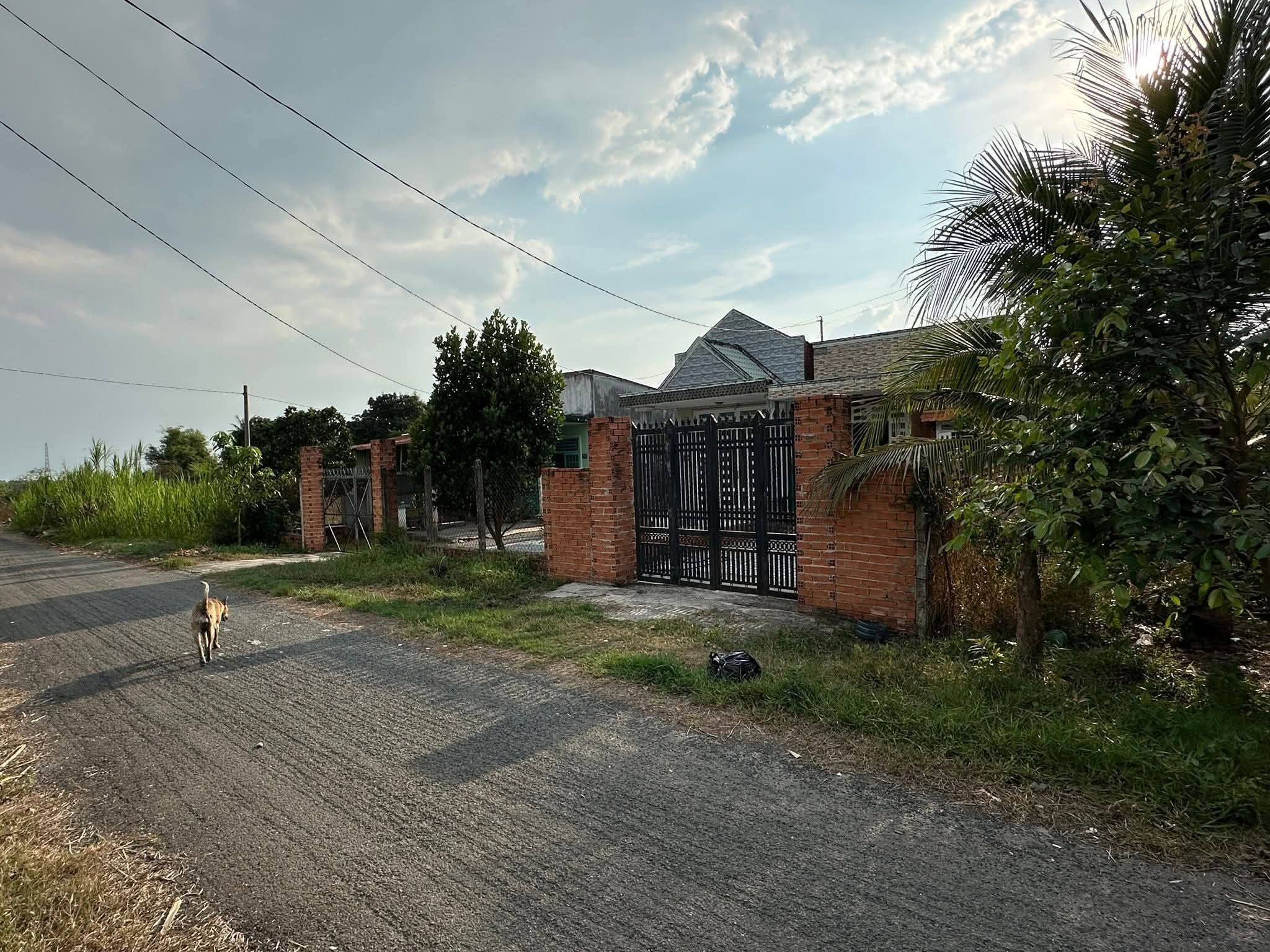 Bán nhà vườn đường Số 693 trung tâm xã Thái Mỹ Củ Chi TPHCM, DT: 20x68m.