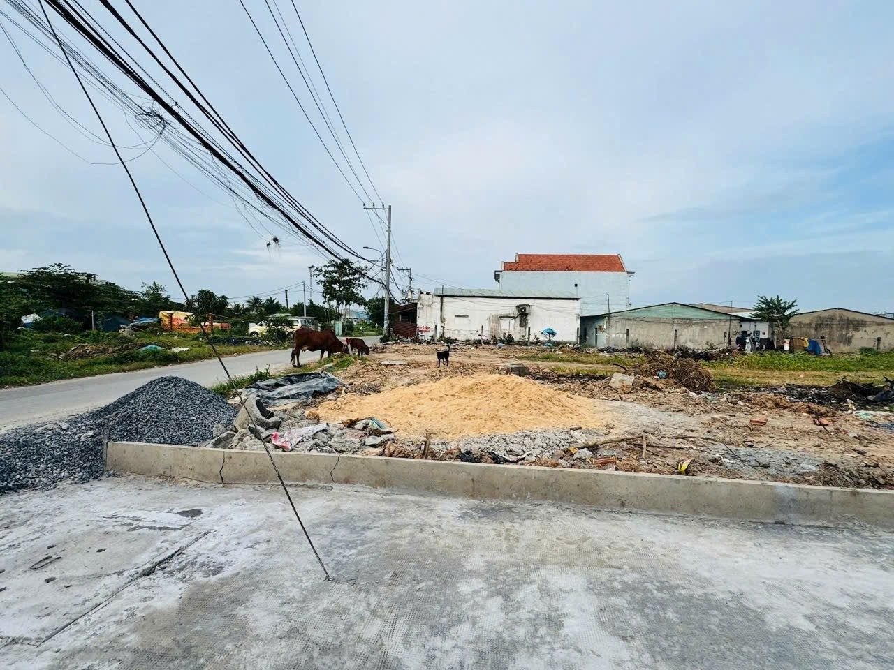Bán đất thổ cư 1/đường số 6A xã Vĩnh Lộc B huyện Bình Chánh TPHCM, DT: 5x20m.