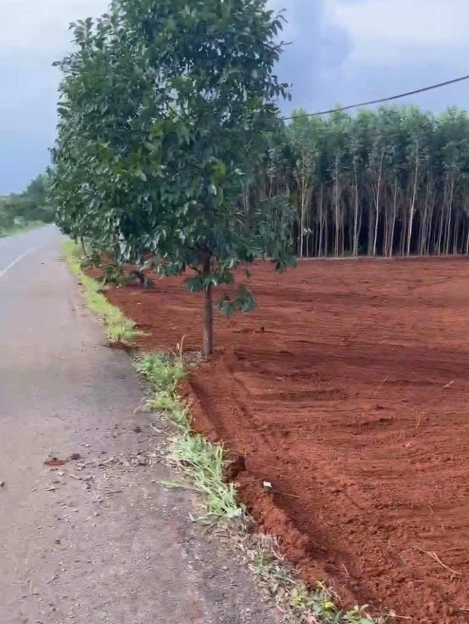 Đất Nền Đẹp - Giá Đầu Tư