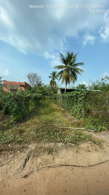 Cần bán