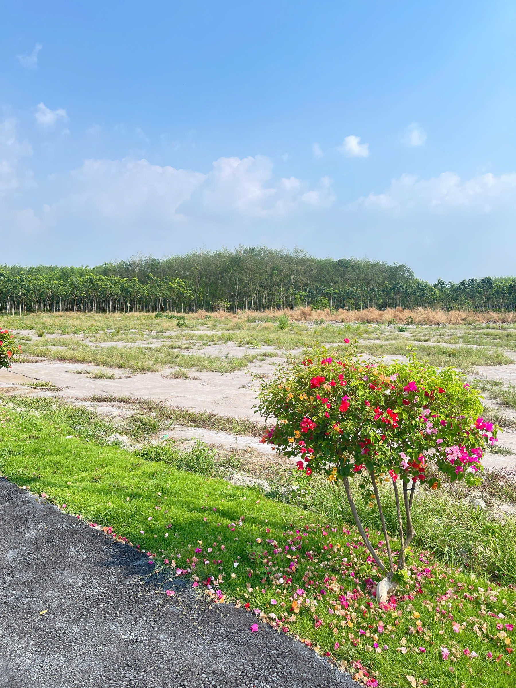 Bán đất 215m² có sẵn 50m² thổ cư ngang 5m giá 570 triệu gần KCN tại Đường số 8 Phường Minh Hưng