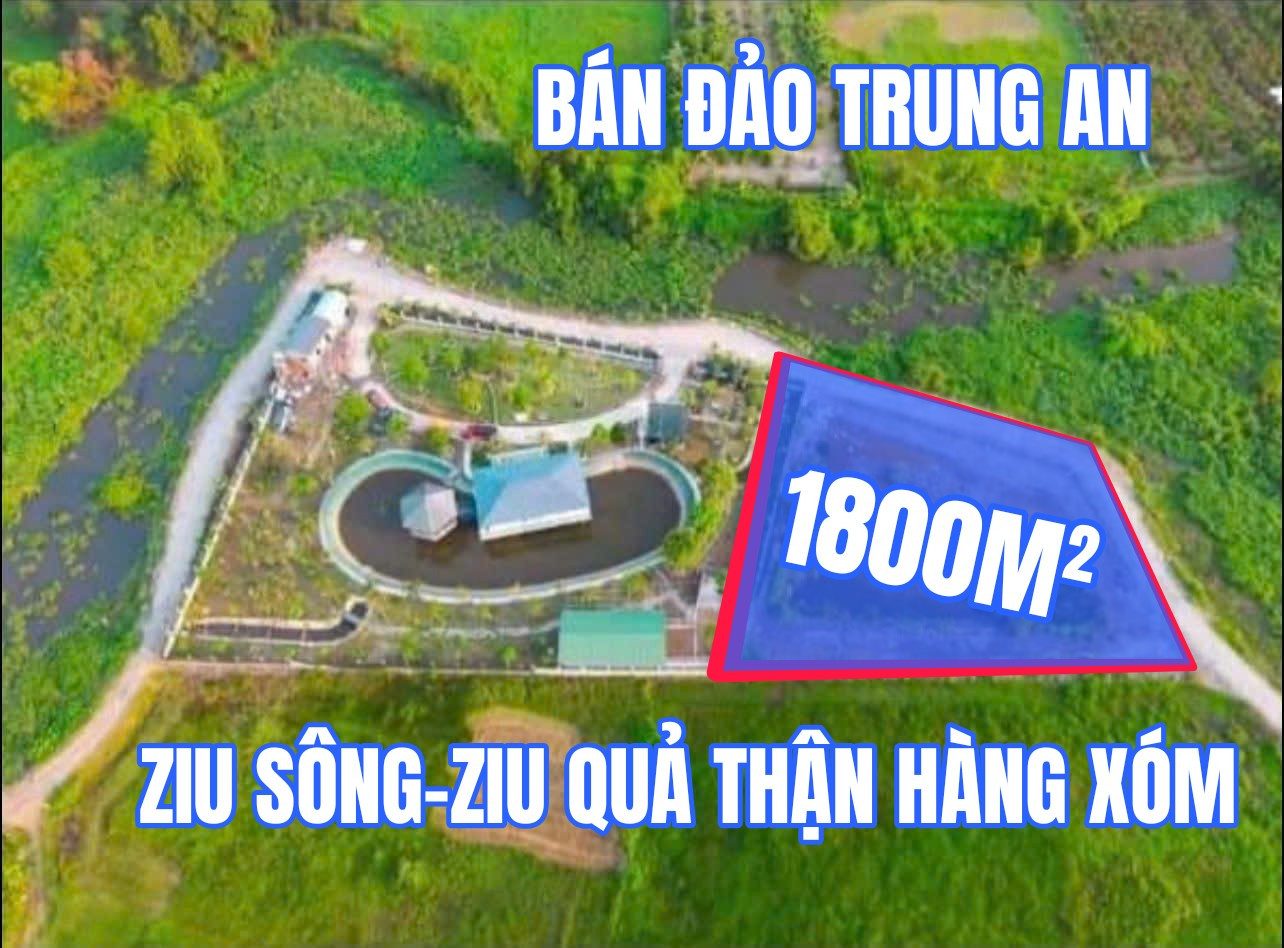 🟥Bán đảo Trung An 1800m² ngang 45m giá 5.5 tỷ tại Đường Sông Lu Củ Chi
