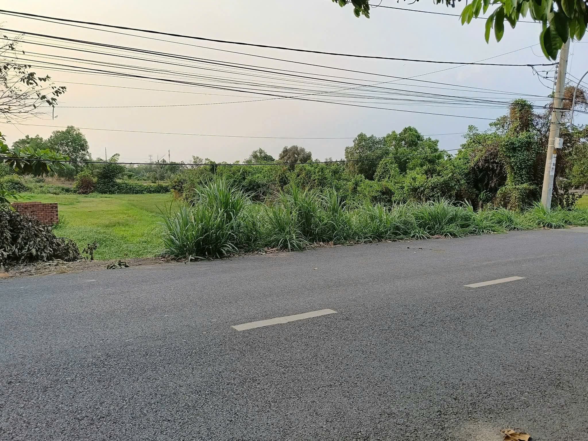 Bán đất mặt tiền đường Sông Lu xã Trung An Củ Chi TPHCM, DT: 42x56m.