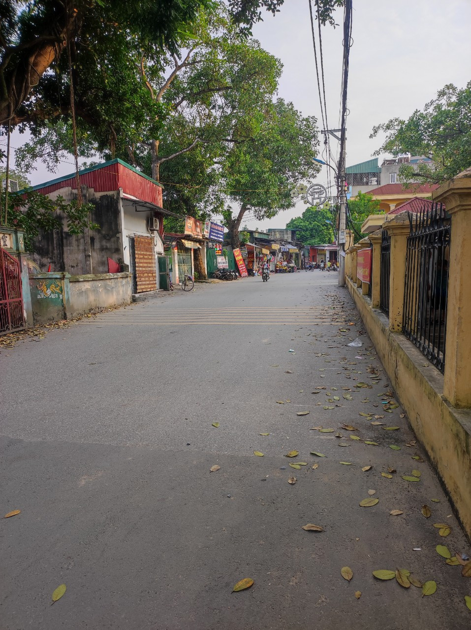LÔ ĐẤT HOA HẬU NGAY LÀNG TÓ CUỐI KIM GIANG