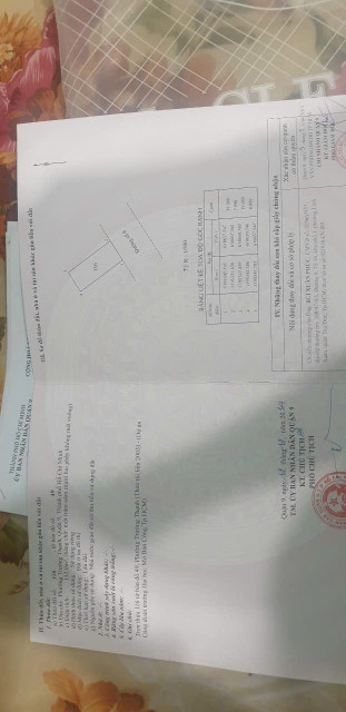 Đất Đại học mỡ Tam Đa. Đường D4 trường thạnh. 8 x19