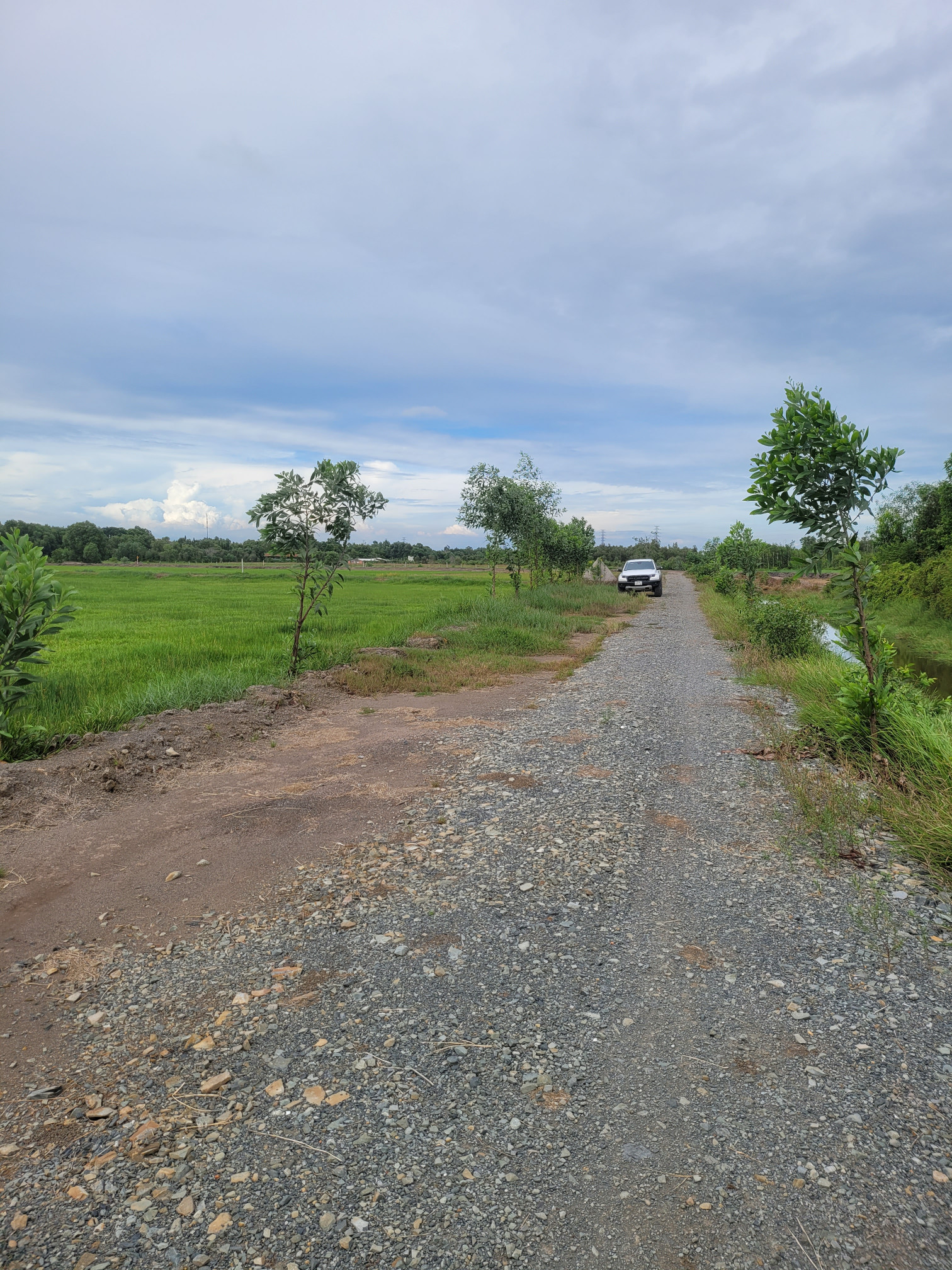 Bán  đất nông nghiệp 9879.4m² tại đường tam tân, Xã Thái Mỹ, Huyện Củ Chi, TP. Hồ Chí Minh giá 22 tỷ