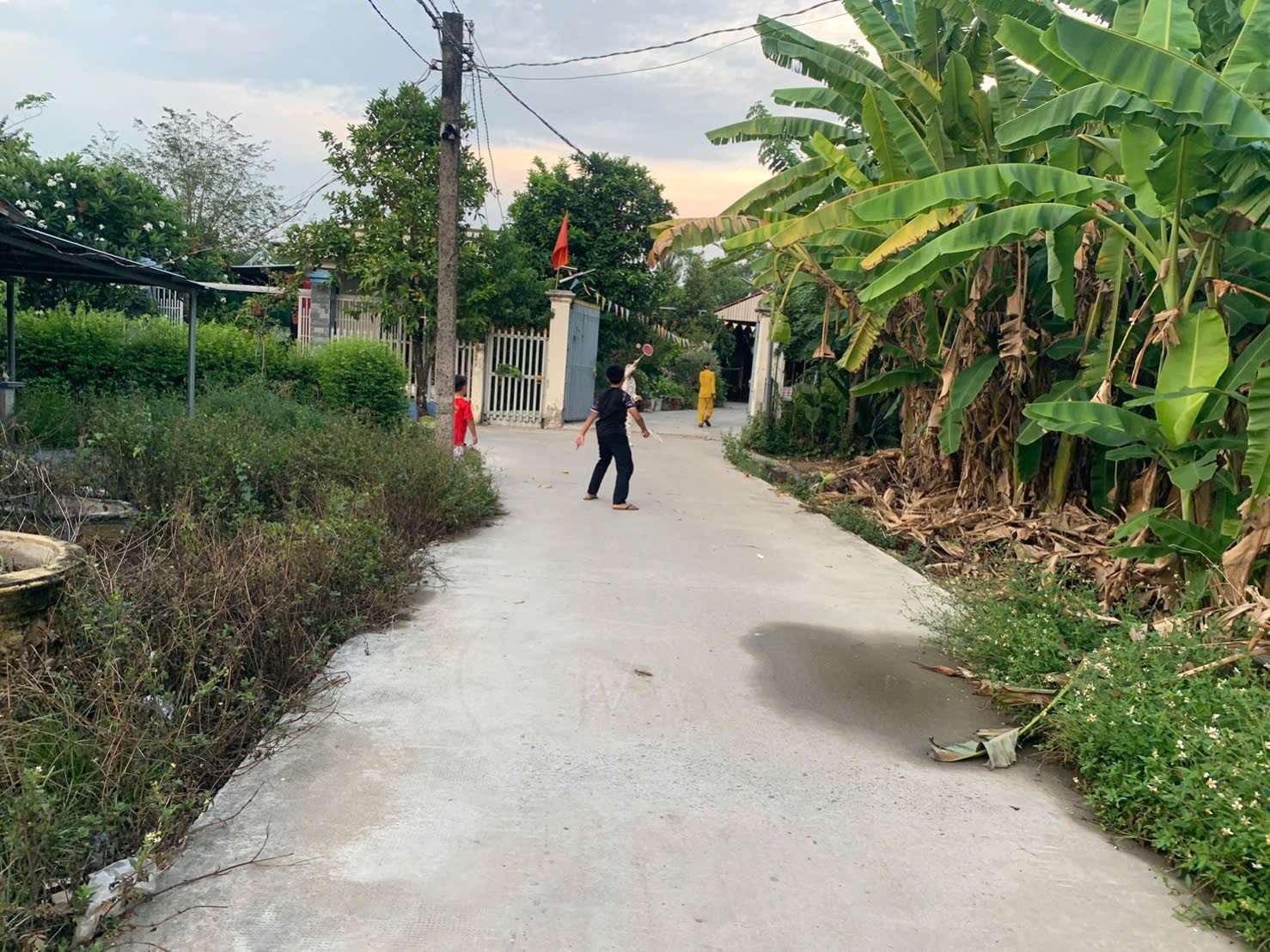 Nền thổ giá rẻ bến lức long an