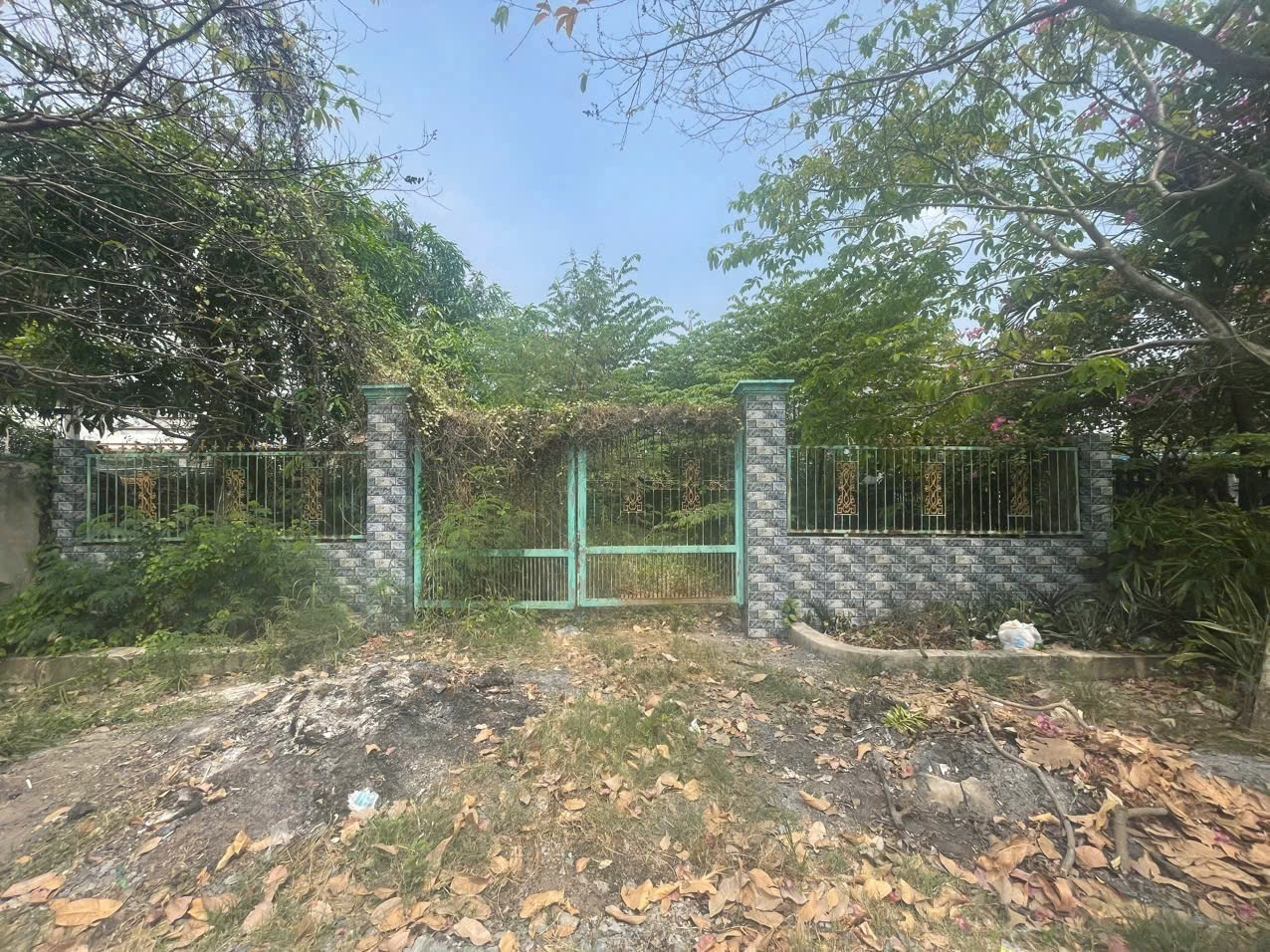 Bán đất thổ vườn 717m2 (12x60m), mặt tiền Tân Liễu, Hưng Long, Bình Chánh