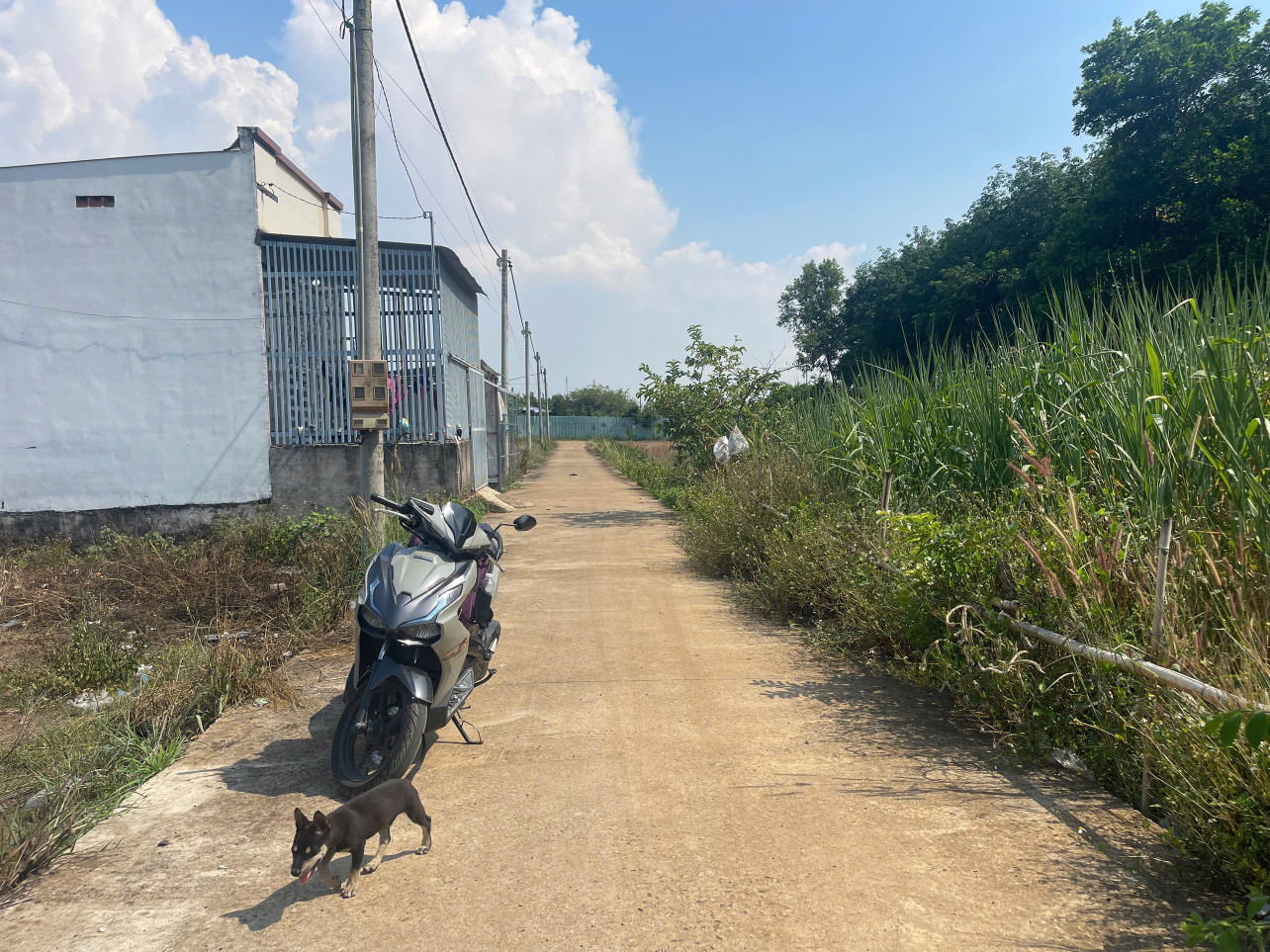 📍 Tây Hòa Trảng Bom – Đất nền sổ riêng, giá chỉ 785 triệu!