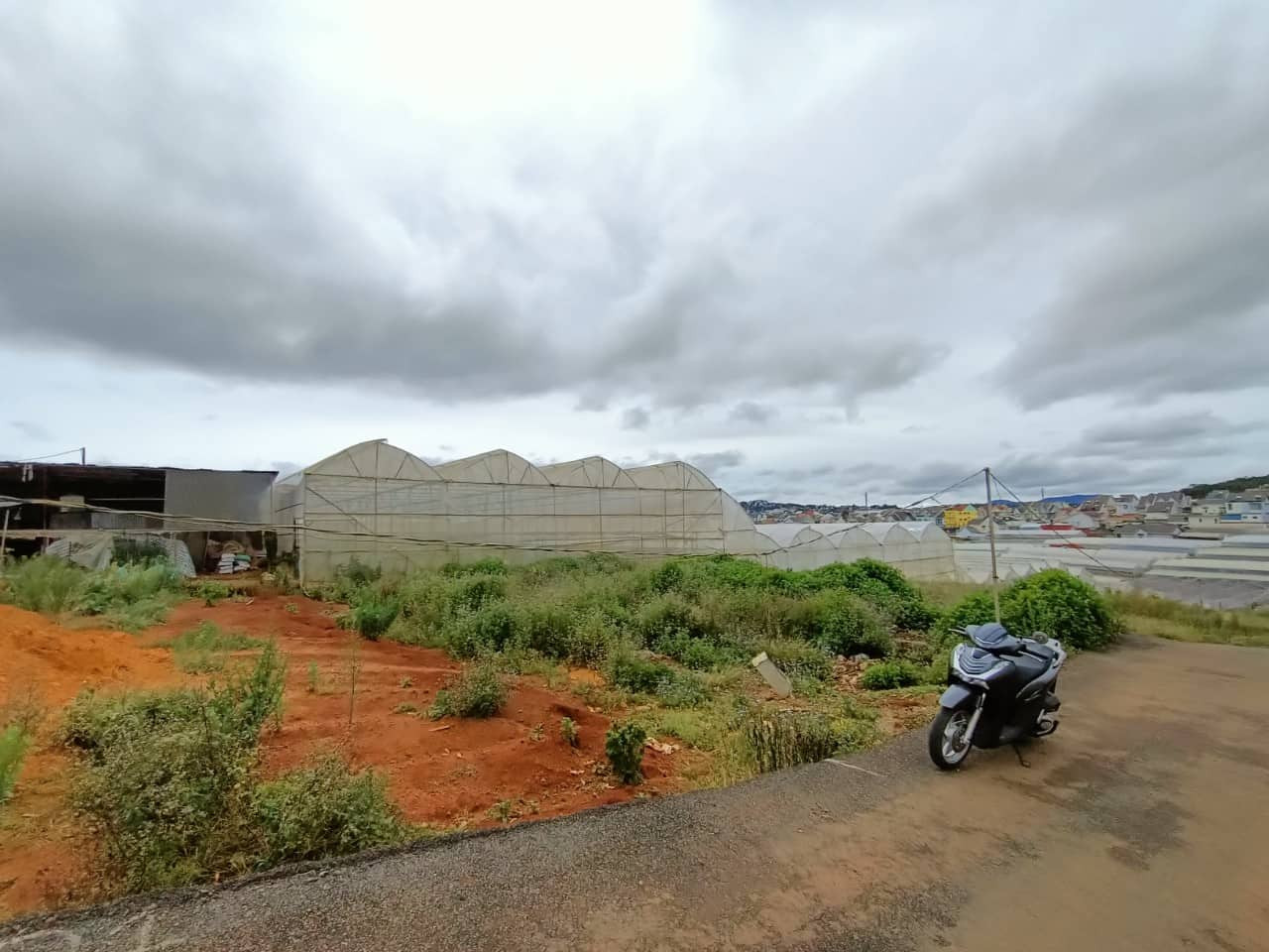 Bán  đất thổ cư 206m² , giá 4.8 tỷ tại đường Thái Phiên, Phường 12, Thành phố Đà Lạt, Lâm Đồng